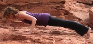 chatturanga2 The author in Chatturanga Dandasana, a classic vinyasa pose, and also an easy shoulder cruncher when performed incorrectly.