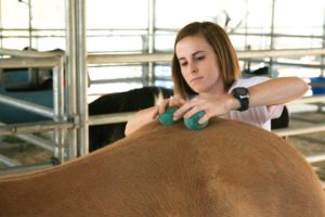 Lindsay Uses Yoga Tune Up® Balls to Massage Her Horse