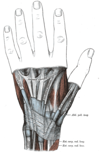 Repetitive motions, like texting, can cause an irritation of the tendons of the thumb.