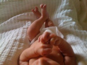 An infant's foot looks very different from an adults.