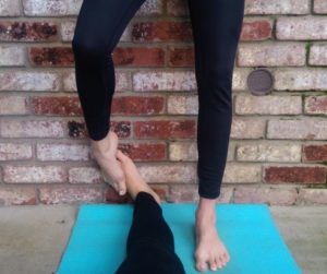 yoganoimcs 2.1