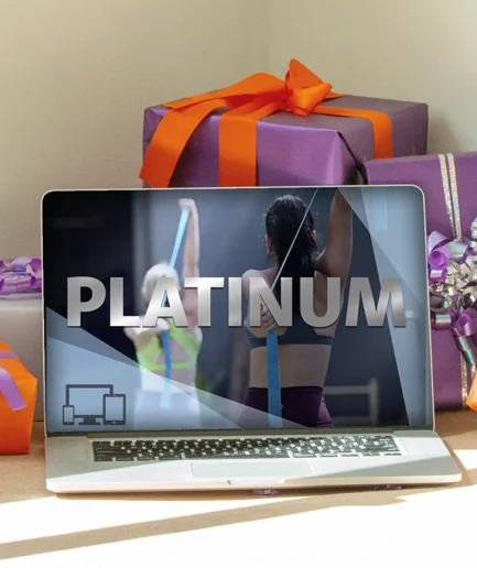 Platinum Subscription