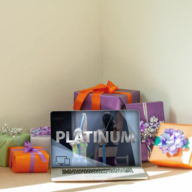 Platinum Subscription Section Image Platinum Subscription Section Image